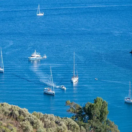 度假居 Paola House Agios Stefanos Agios Stefanos Kassiopi
